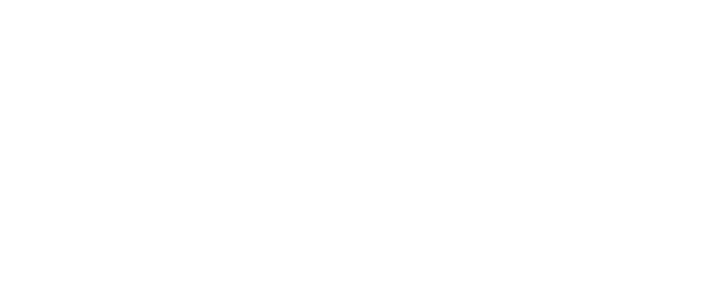 Verein R.A.V.E., swissrave.com